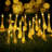 Outdoor 100 - Bulb 43'' Plug-in LED Novelty String Light-27523212