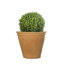 Handmade Pot Planter-14486389