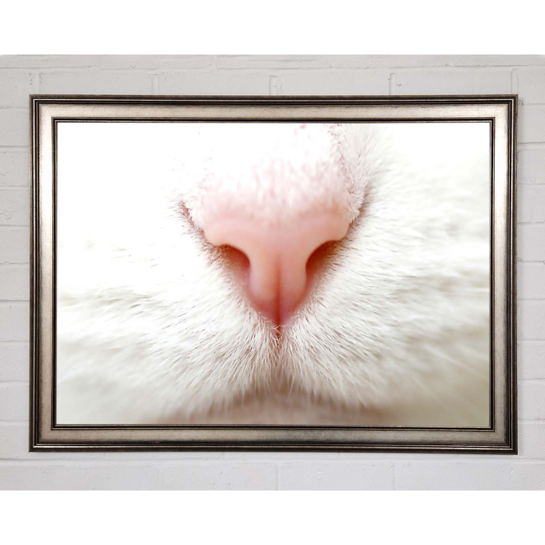 Gerahmtes Bild Cat Nose 2