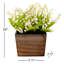 Muguet dans une boîte en bois-816478595