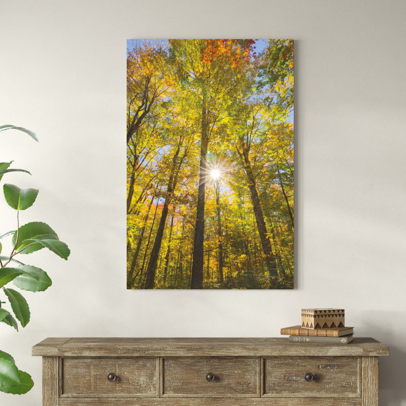 Feuillage d'automne Sunburst III, H 48 po x l 32 po