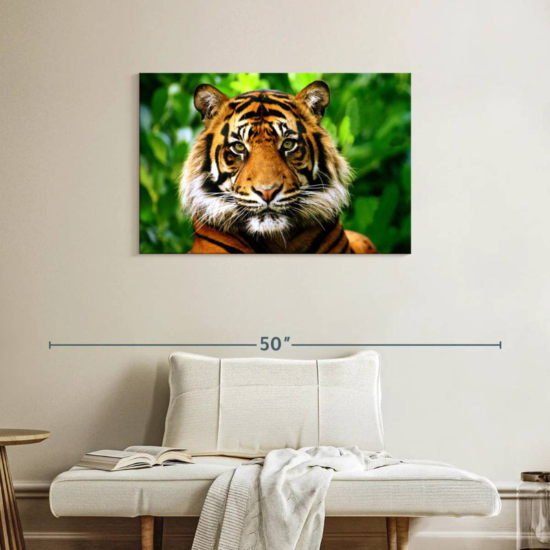 Sumatran Tiger Gaze, 24" H x 36" W