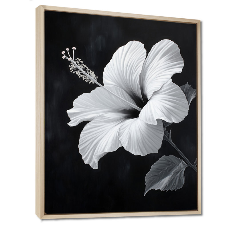 Tibbie II - Tableau botanique encadré noir, H 32 po x l 24 po, Cadre naturel flottant
