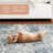 Town & Country Everyday Rein Everwash Washable Area Rug Brown/Beige-91338287