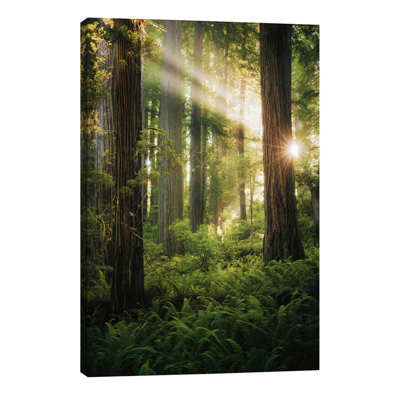 Goblin's Woods by Stefan Hefele - Wrapped Canvas Print, 66.04 cm H x 45.72 cm W x 1.91 cm D