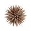 Marlin Shell Ball (LG)