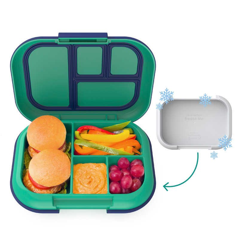 Boîtes à bento, Vert / marine