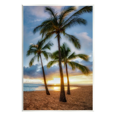 Au-534-Giclée, palmiers, plage tropicale, par Dennis Frates, photographie