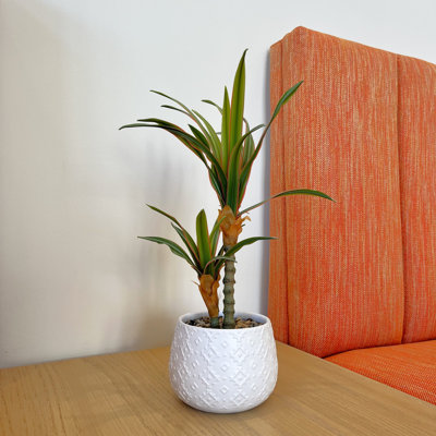 Céramique Real-Touch Yucca