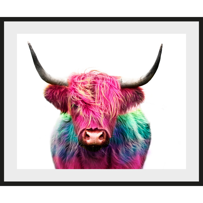 Bison - Single Picture Frame Print