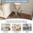 Babb Glass Cross Legs End Table-339584614