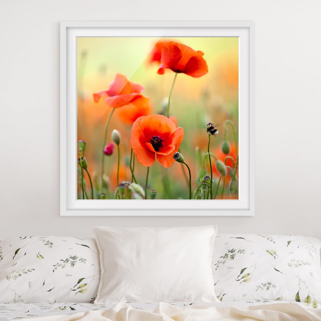 Gerahmter Fotodruck Red Summer Poppy