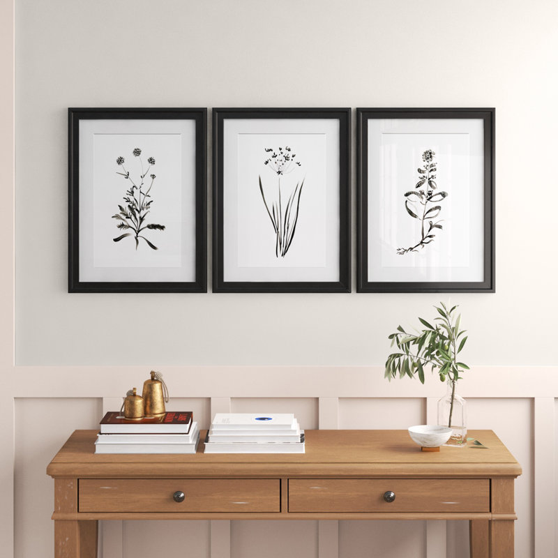 Inky Botanical I - ensemble de 3 reproductions d'art graphique, H 18,5 po x l 73,5 po x P 1,5 po, Cadre noir