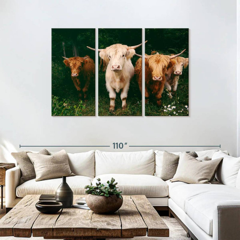 Light Haired Highland Cows, 48" H x 74" W