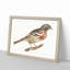 Bullfinch by Johan Teyler - Picture Frame Art Print-55512881-55512885