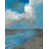 Image Brush Gel selected