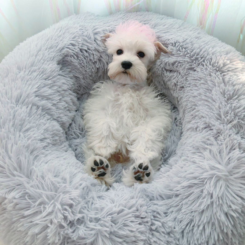 Velvet Bolster Pet Bed
