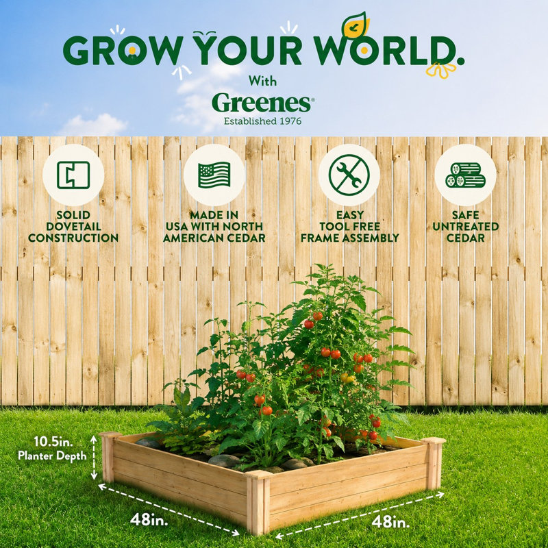 Lit de jardin surélevé en bois 4 pi x 8 pi Katsuyoshi, H 10,5 po x l 48 po x P 48 po, Cèdre