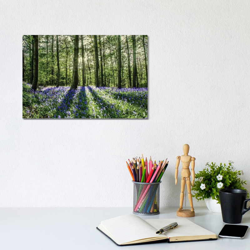 Bluebell Wood by Mark Gemmell - Wrapped Canvas Print, 20.32 cm H x 30.48 cm W