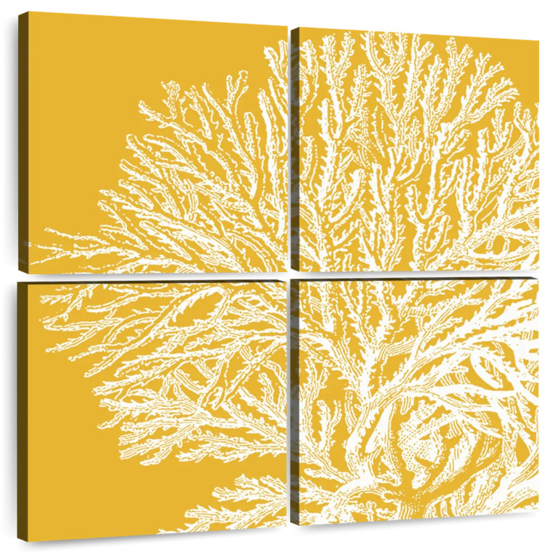 Corail satiné Brampt I