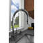 Azure™ Pull Down Single Handle Kitchen Faucet with Accessories-57508225