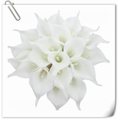 20 pièces de fleurs de lys Calla