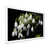Cadre simple blanc
