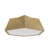 Physalis 1 - Light Flush Mount