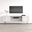 Meuble télé 70,9 po Frobiorn-450845660