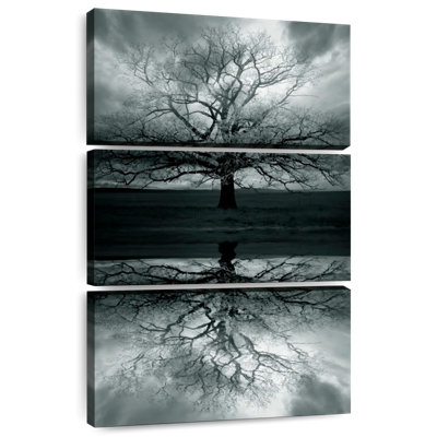 Hitzel Haunted Tree Reflection