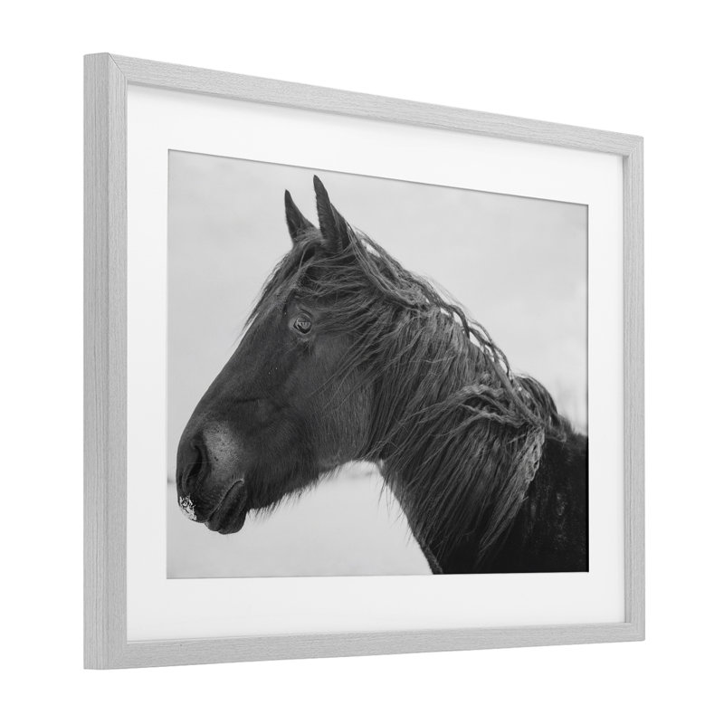 «Draisma Winter Herd Portrait», reproduction encadrée sous verre, conception par Amy Carroll, Cadre de ferme gris