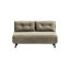 Varujhan 2 Seater Sofa Bed-1464465513-1464465515-1407565412