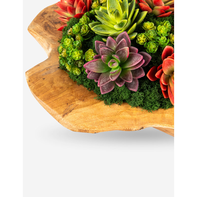 Mojave Wooden Bowl Succulent Arrangement