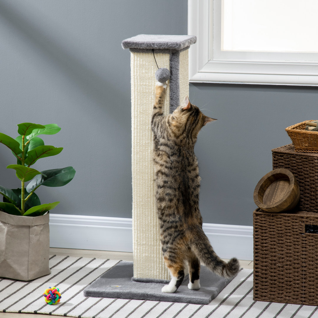 81cm Scratching Post