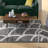 Alhareth Geometric Indoor Rug-19499289