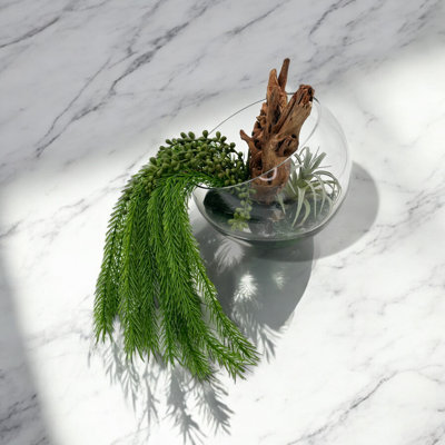 Succulent Design in Clear Half-Bubble Glass Vase with Epoxy| Perfect Arrangements for Housewarming Gifts