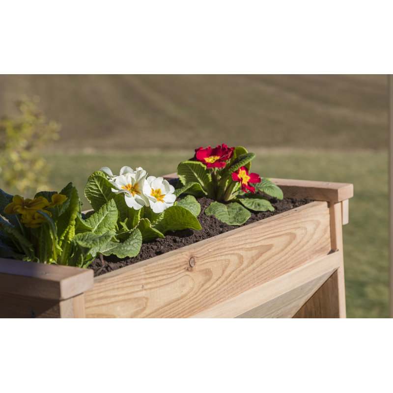 Handmade Planter