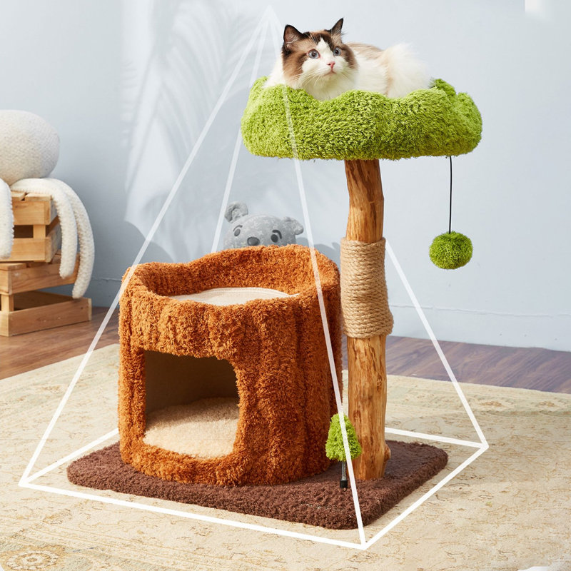 Arbre à chat 1 étages avec condons, perchoir, griffoirs