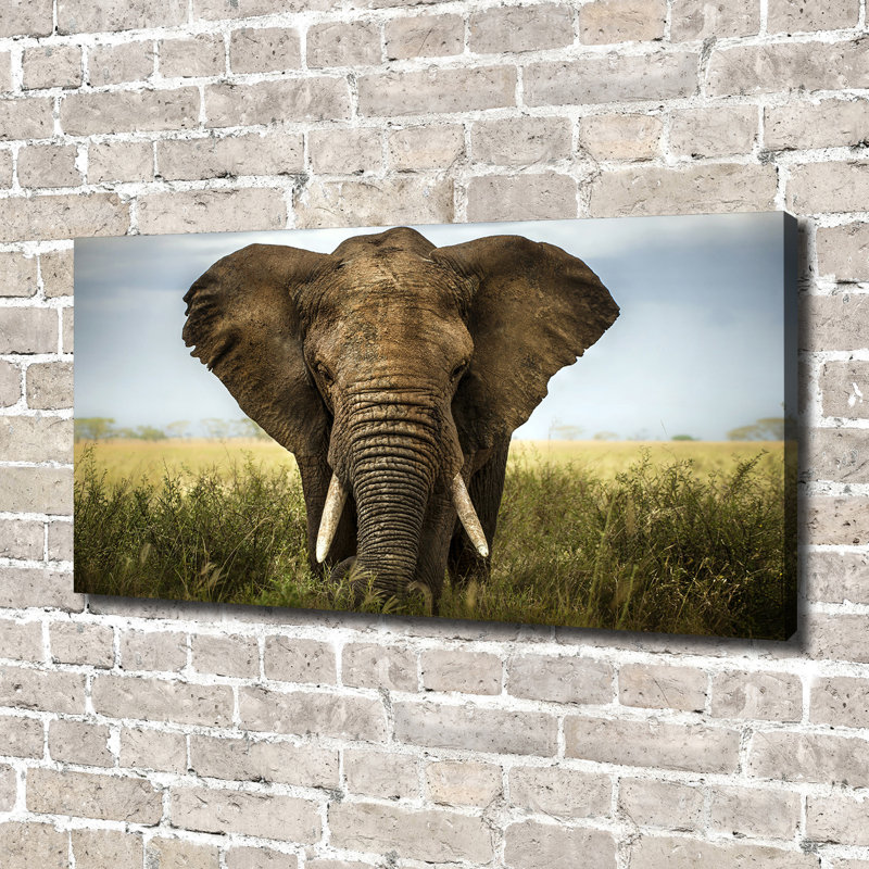 Elephant on the Savanna 1 Piece Wrapped Canvas Wall Art