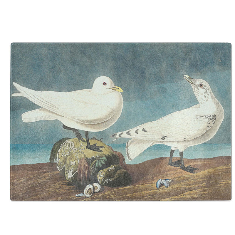 Glass Ivory Gull by John James Audubon Chopping Board, 39 cm W x 28.5 cm L