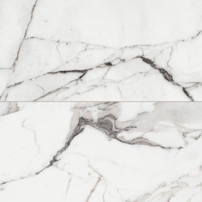 Virtue 24X48 Polished Argente