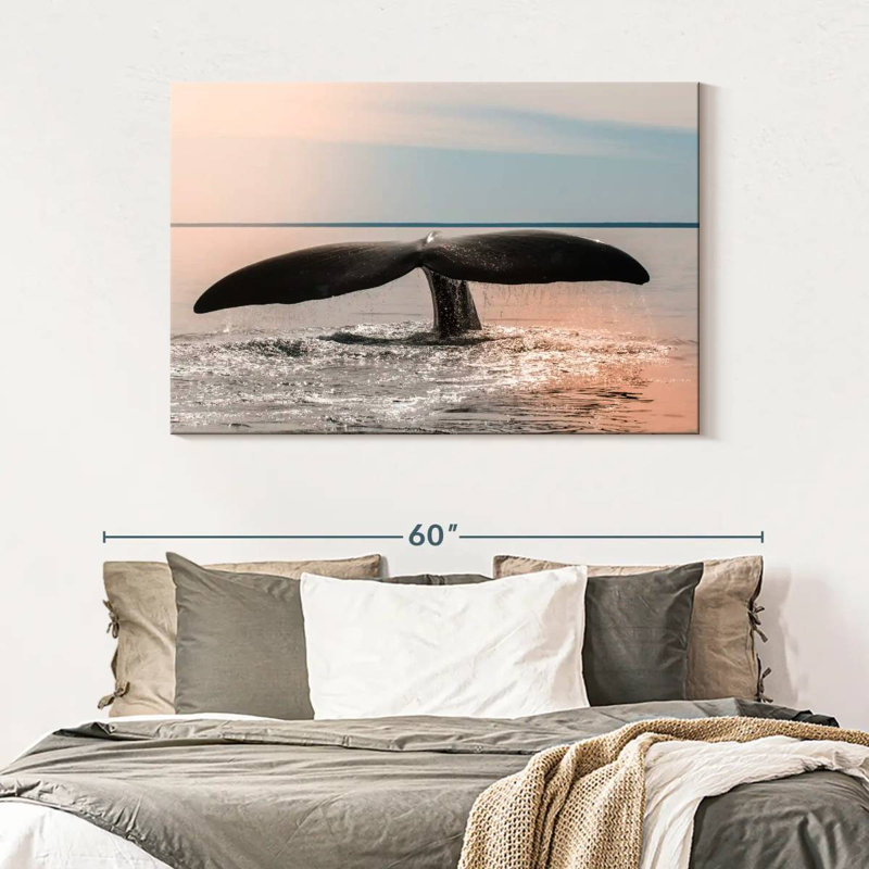 Queue de baleine de Patagonie, H 32 po x l 48 po