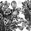 Housse de couette Wild Leaves-812324306-807285228