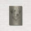 «Irish Wolfhound» par Barbara Keith-292862657