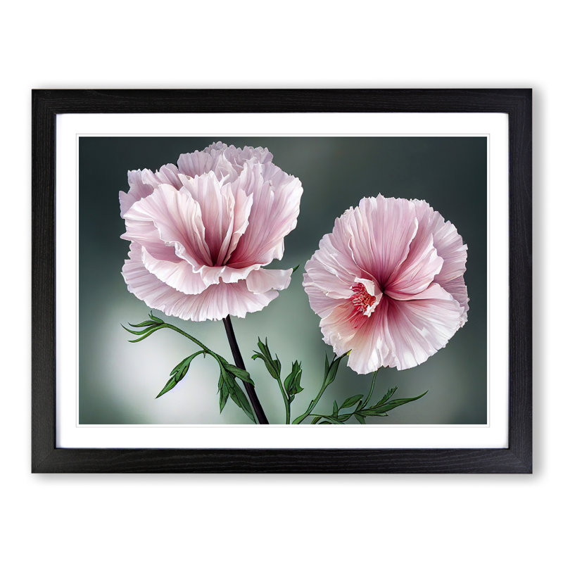 Timeless Carnation Flowers - Single Picture Frame Print, 25cm H x 34cm W x 2cm D, Black Framed