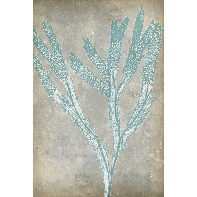 Spa Seaweed II - Wrapped Canvas Print, 46cm H x 30cm W x 3.8cm D
