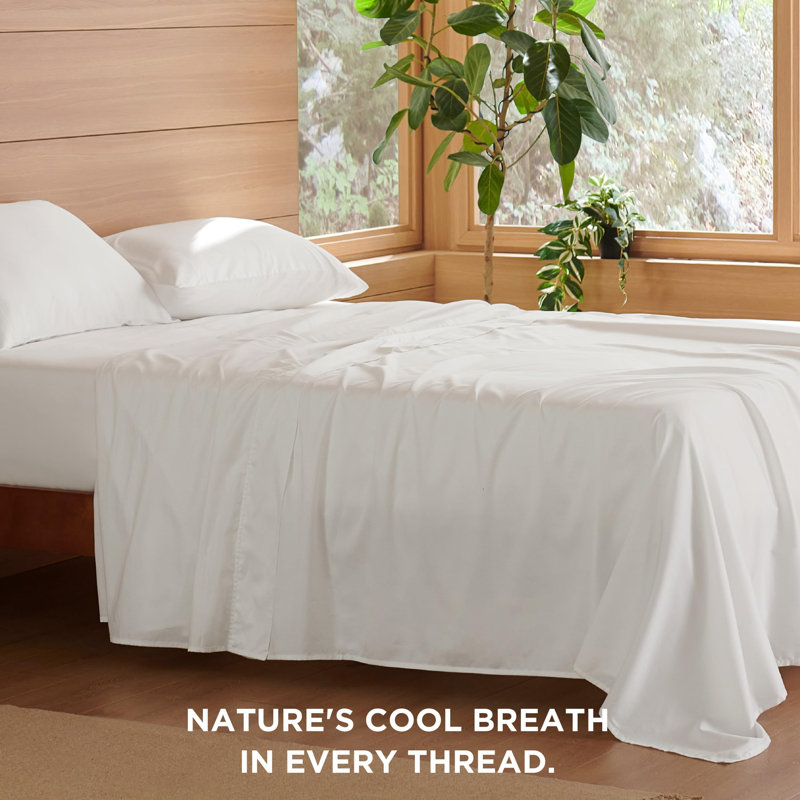 Ensemble de draps en coton 300TC, Ensemble de drap grand avec un drap-housse et deux, Blanc
