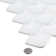 Scala Nami 2-in. x 3-in. Fish Scale Upcycled Satin Glass Floor & Wall Mosaic Tile