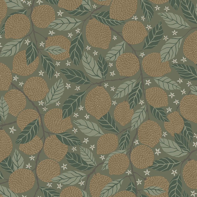 Crist 10.05m x 53cm Matte Paste the Wall Wallpaper Roll, Green/Orange