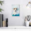 Ketti terrier au bain bleu-108436549